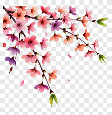 Colorful Cherry Blossom Branch PNG