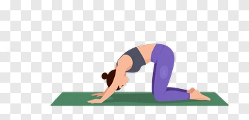 Woman Doing Yoga Pose On Mat PNG
