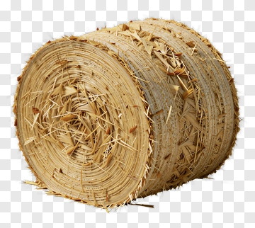 Hay Bale PNG