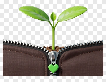 Plant Growing From A Zippered Wallet PNG
