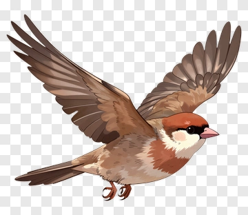 Cartoon Sparrow Flying PNG