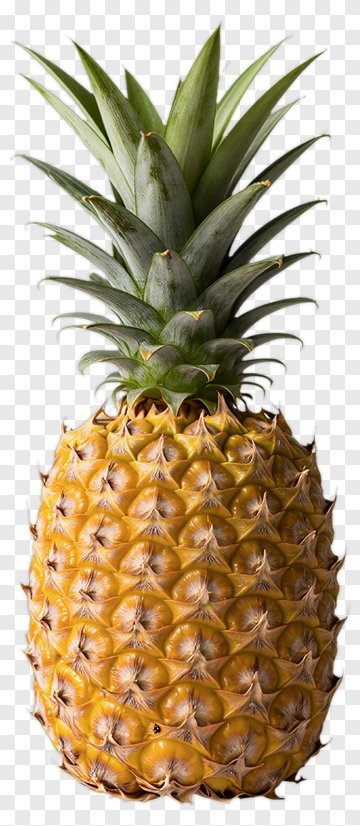 Pineapple PNG