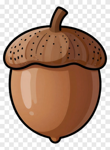 Cartoon Acorn PNG