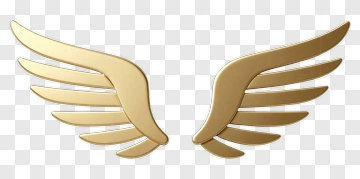 Golden Wing Design PNG