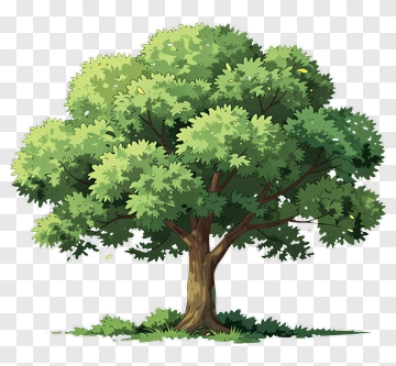 Colorful Tree PNG