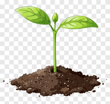 Green Plant Growing From Soil PNG