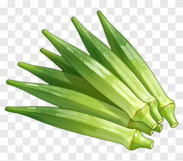 Fresh Okra PNG