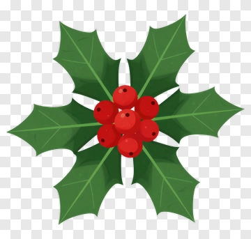 Holly Leaves With Red Berries PNG