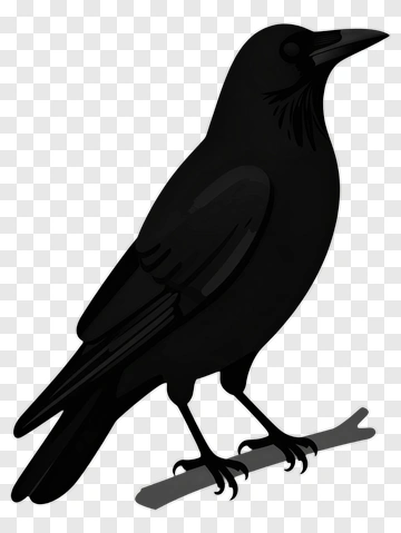 Black Raven Standing On A Branch PNG