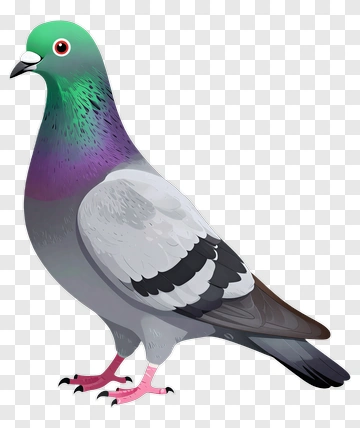 Colorful Cartoon Pigeon PNG
