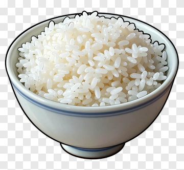 Bowl Of White Rice PNG