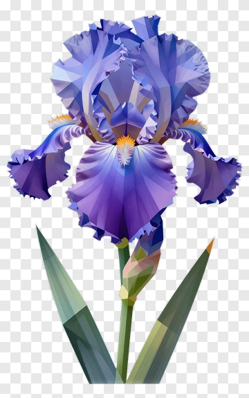 Polygonal Purple Iris Flower PNG