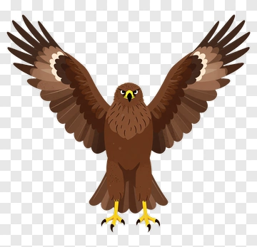 Cartoon Eagle With Outstretched Wings PNG