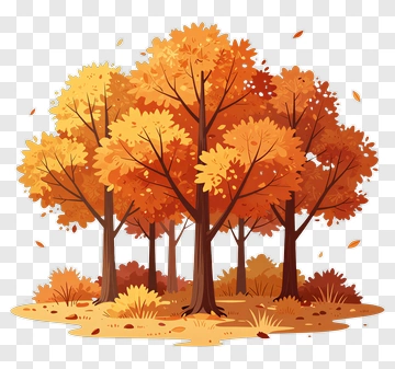 Colorful Autumn Forest PNG