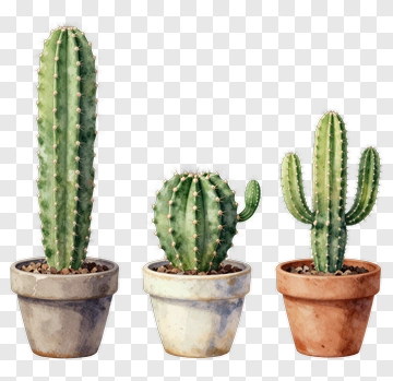 Watercolor Cactus Plants In Pots PNG