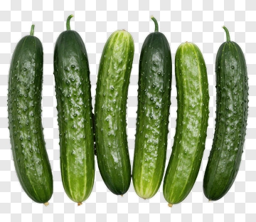 Fresh Cucumbers In A Row PNG
