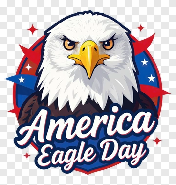 America Eagle Day Illustration PNG