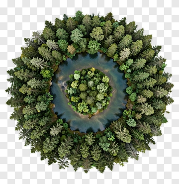 Aerial View Of A Circular Forest Surrounding A River PNG