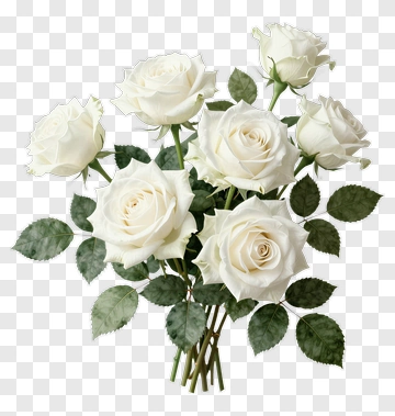 Bouquet Of White Roses PNG