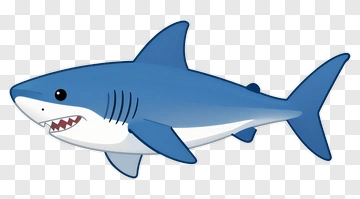 Cartoon Shark PNG
