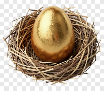 Golden Egg In A Nest PNG