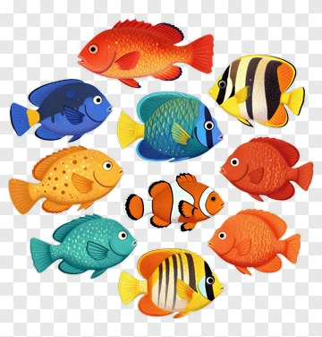 Colorful Cartoon Fish Swimming Together PNG