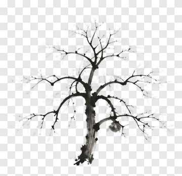Black Tree With Bare Branches PNG