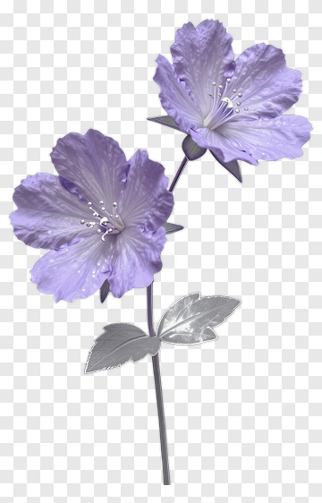 Purple Flower With Leaves PNG