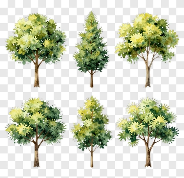 Watercolor Trees Collection PNG