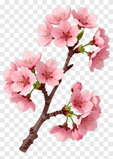 Cherry Blossom Branch PNG