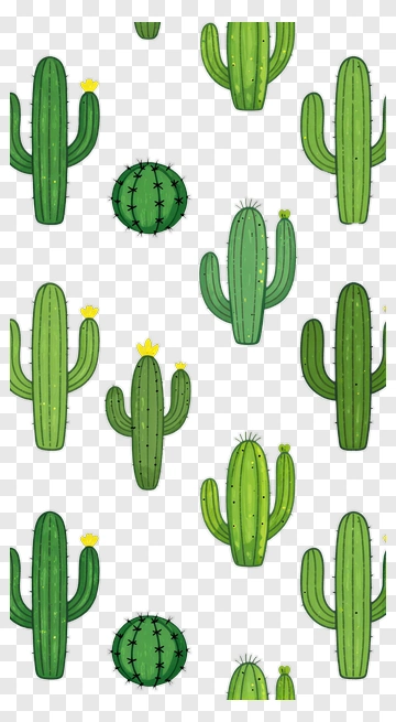 Colorful Cacti Pattern PNG