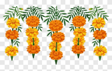 Colorful Marigold Flower Arrangement PNG