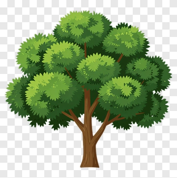 Colorful Tree PNG