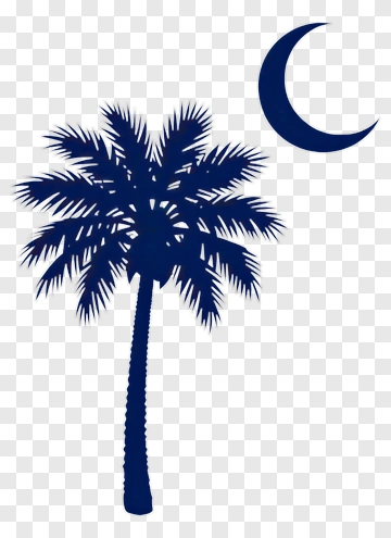 Silhouette Palm Tree With Moon PNG