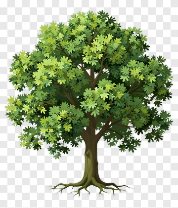 Colorful Tree PNG