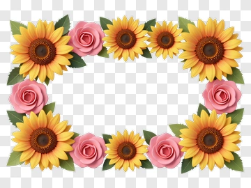 Flower Frame With Sunflowers And Roses PNG