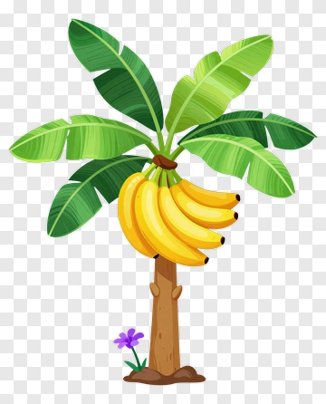 Cartoon Banana Tree With Bananas PNG