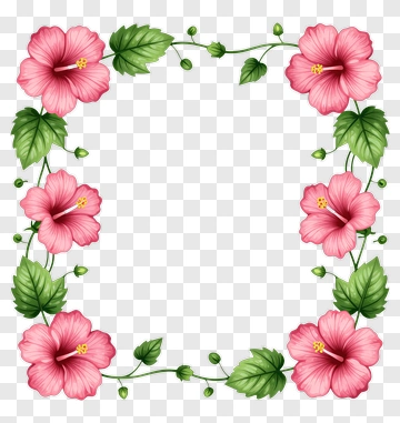 Pink Hibiscus Flower Frame PNG