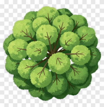Colorful Tree PNG