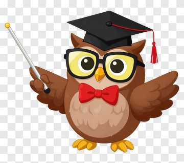 Cartoon Owl Wearing Graduation Cap And Glasses PNG