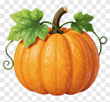 Orange Pumpkin With Green Leaves PNG
