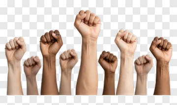 Diverse Hands Raised In Unity PNG