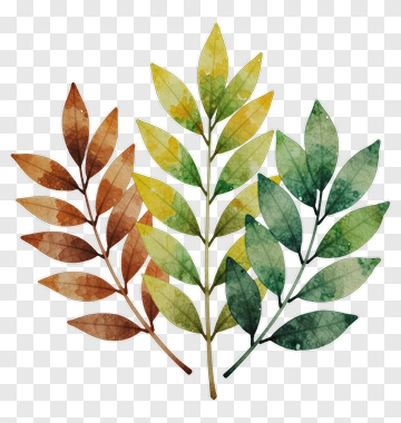 Watercolor Leaves Arrangement PNG