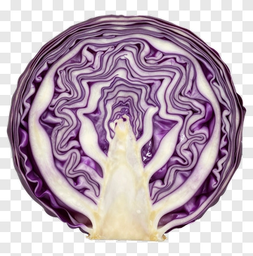 Cross Section Of A Purple Cabbage PNG