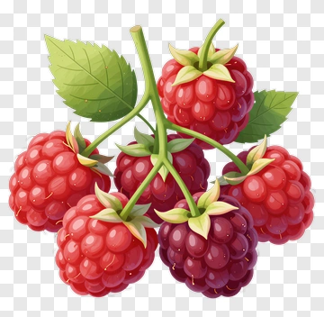 Colorful Raspberry Bunch PNG