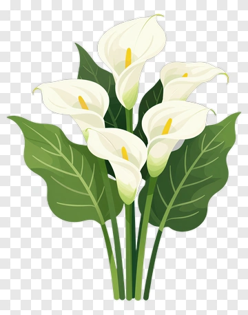 Calla Lily Bouquet PNG