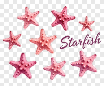 Colorful Starfish Collection PNG