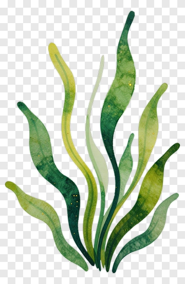 Watercolor Green Seaweed PNG