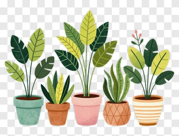 Colorful Potted Plants Arrangement PNG