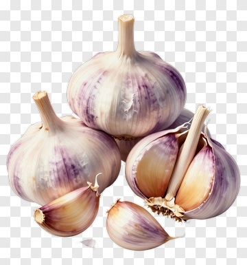 Garlic Bulbs And Cloves PNG
